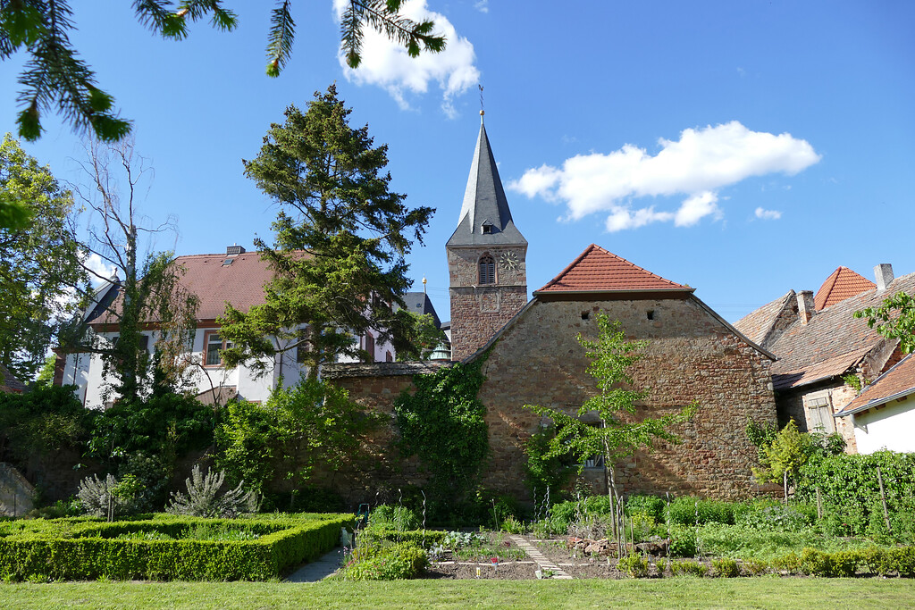 Der Pfarrgarten in Kirrweiler (Pfalz) (2021)
