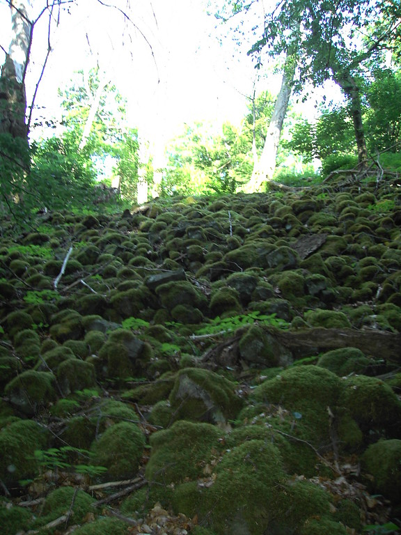 Steine der keltischen Ringwallanlage auf dem Barsberg bei Bongard (2008).