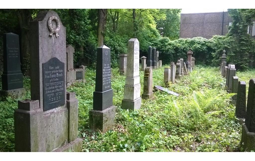 Gräberreihe auf dem jüdischen Friedhof in Köln-Lindenthal (2014)