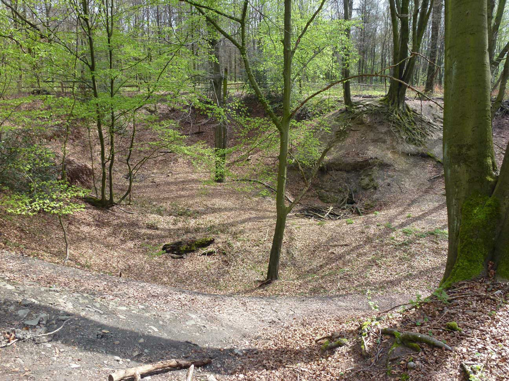 Der alte Steinbruch im Duisburger Stadtwald (2014).