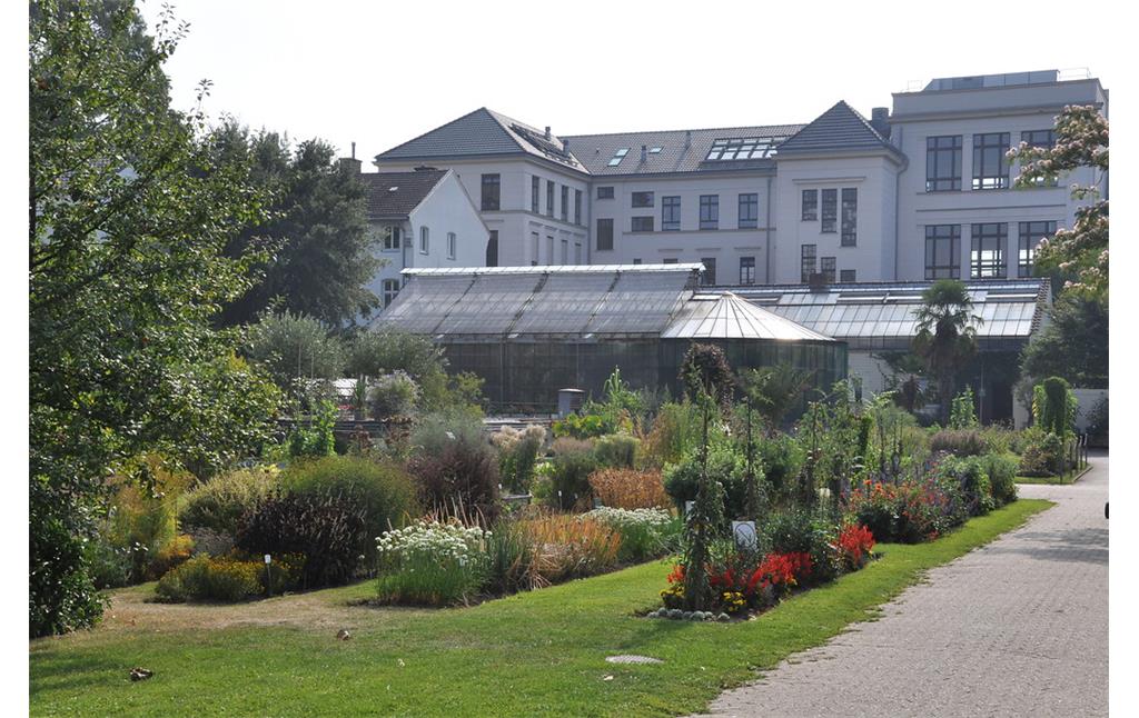 Nutzpflanzengarten der Universität Bonn (2019). Im Hintergrund sieht man die Rückseite des Geozentrums der Universität, vormals Teil des Geländes der Fayence Manufaktur Ludwig Wessel in Poppelsdorf.
