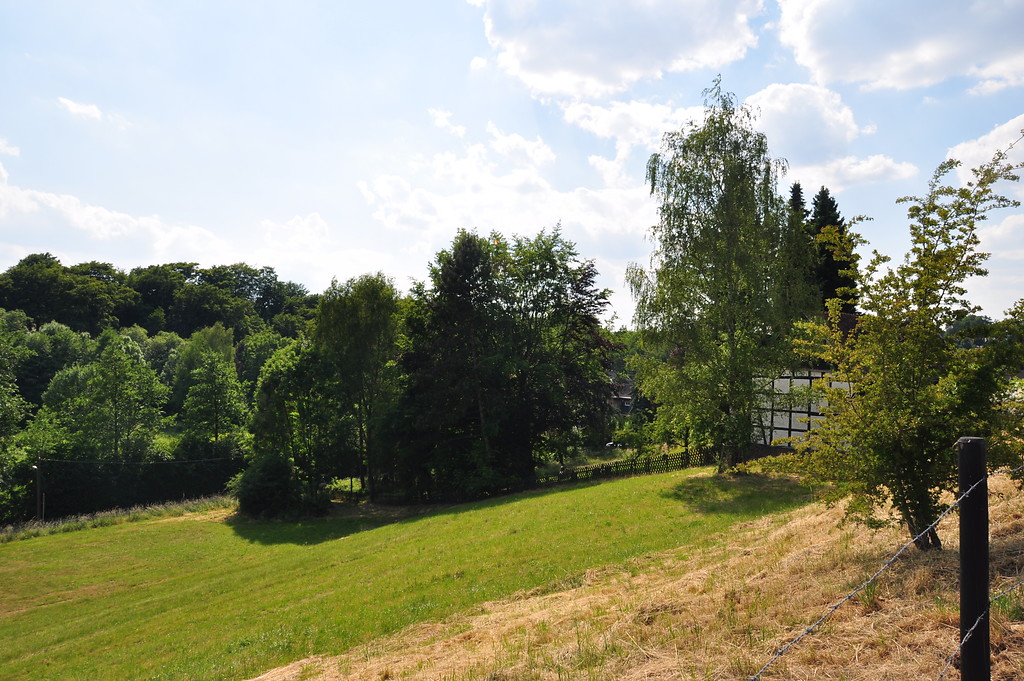 Fachwerkhaus mit Weidefläche in Dierath (2015)