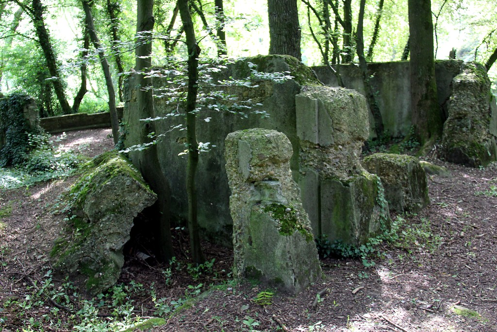 Massive Mauerreste eines Grubengebäudes im Naturpark Worm-Wildnis bei Herzogenrath (2016)