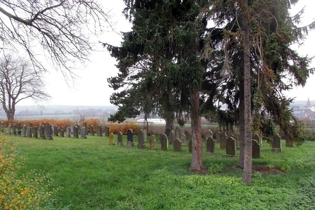 Blick über das Gräberfeld des südlich des Orts gelegenen jüdischen Friedhofs Mertloch (2022).