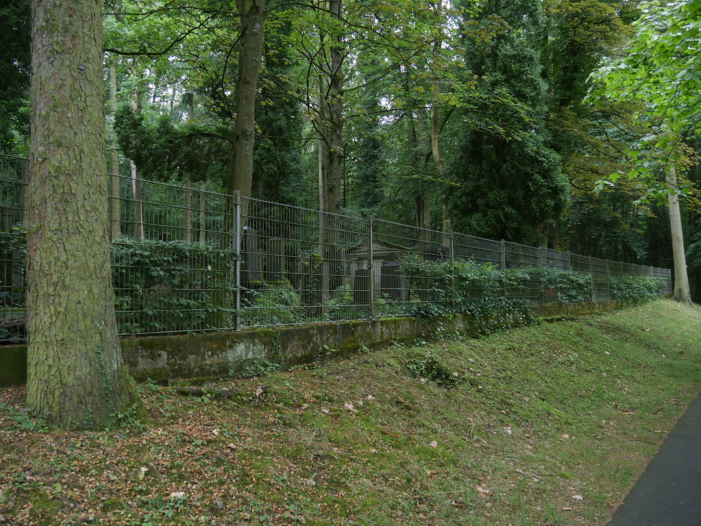 Norseite des jüdischen Friedhofs am Schafsberg in Limburg (2017)