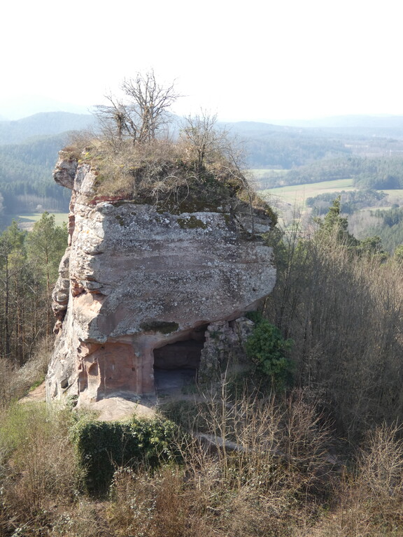 Burgruine Drachenfels bei Busenberg (2022)