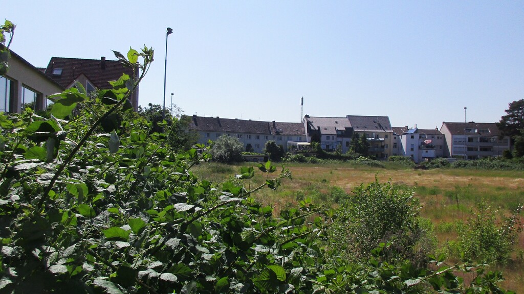 Blick über das Spielfeld des früheren Sportplatzes des Siegburger Sportvereins SV 04 in Siegburg, Ansicht von der Straße Zum Jelsloch (2023).