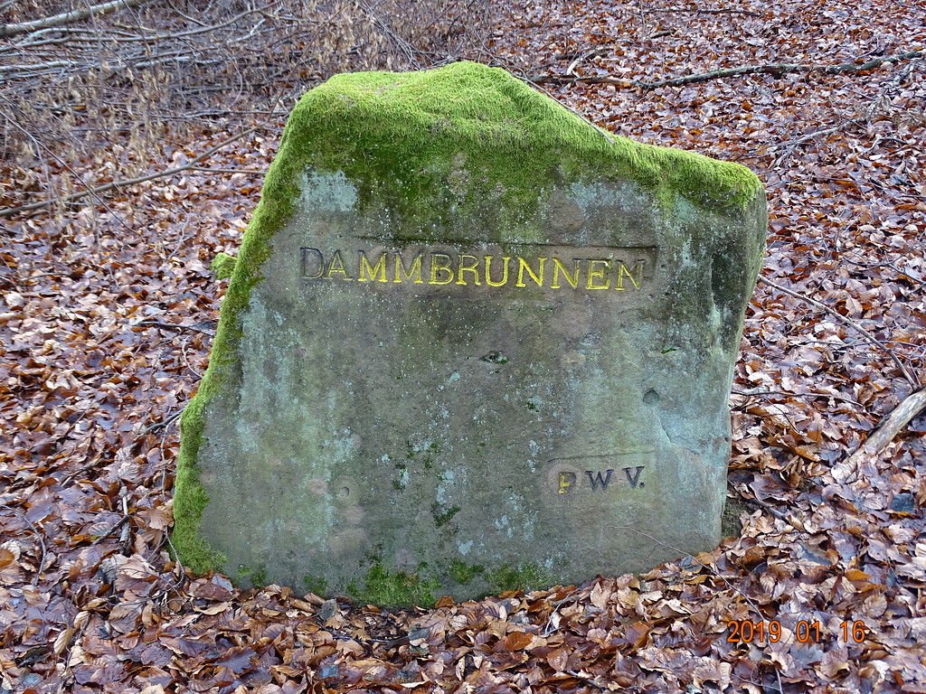 Ritterstein Nr. 146 "Dammbrunnen" am Dammberg (2019)