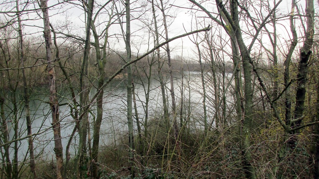 Blick über den mittleren der Paulsmaar-Seen im Naturschutzgebiet Kiesgrube Paulsmaar (K-016) zwischen Köln-Libur und Köln-Wahn (2024).