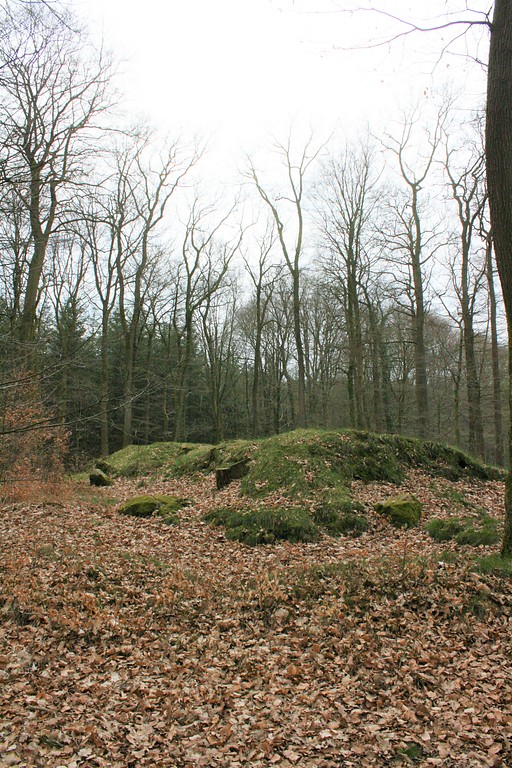 Großsteingrab "Langbett Albersdorf 49" im Steinzeitpark Dithmarschen (2019)