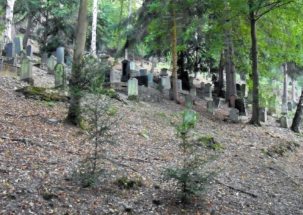 Jüdischer Friedhof Boppard-Buchenau (2009).