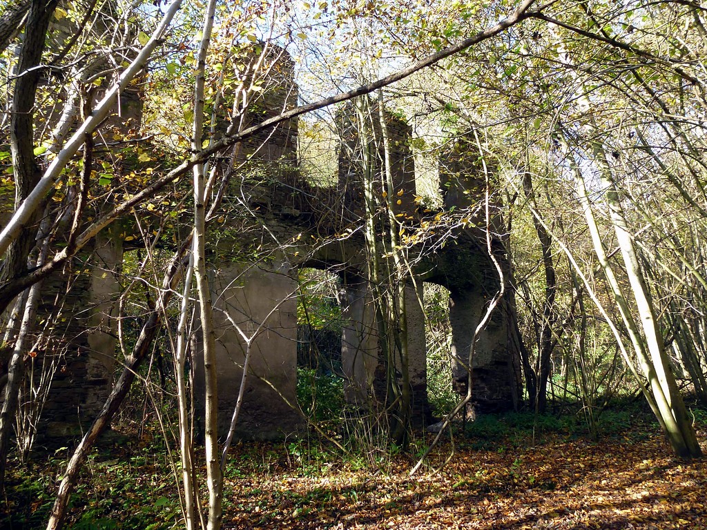 Ruine des Klosters St. Antonius in Andernach-Kell (2014), Klostermauer an der Südostseite.