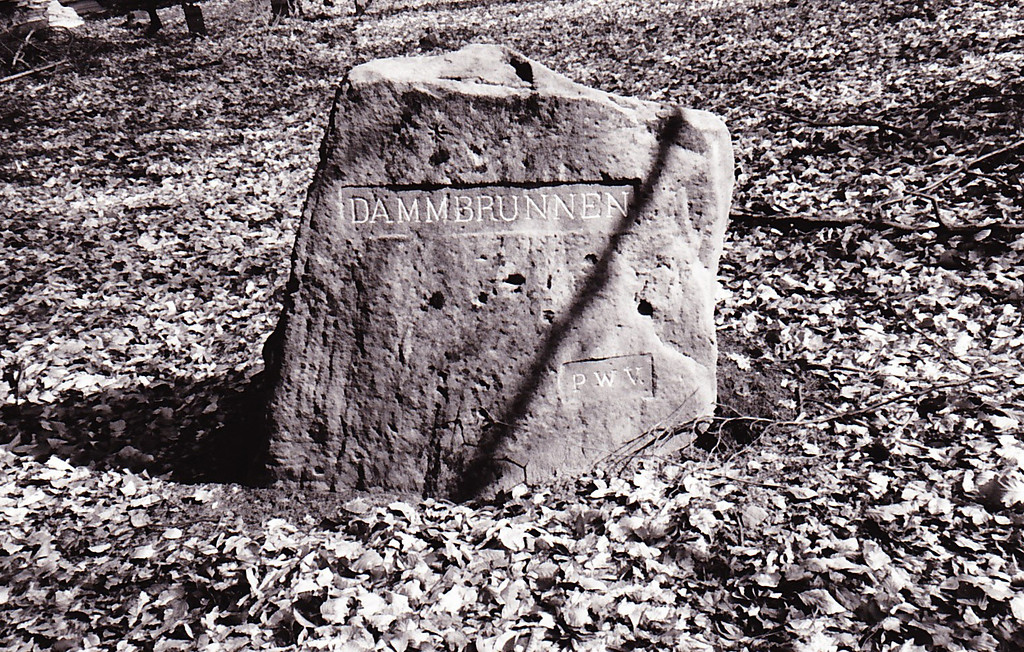 Ritterstein Nr. 146 "Dammbrunnen" am Dammberg (1993)
