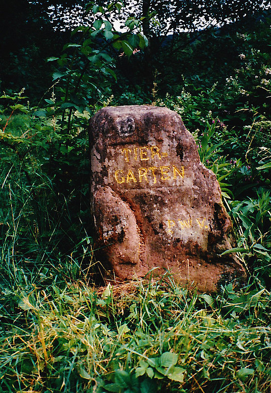 Ritterstein Nr. 46 "Tiergarten" bei Wilgartswiesen (1996)