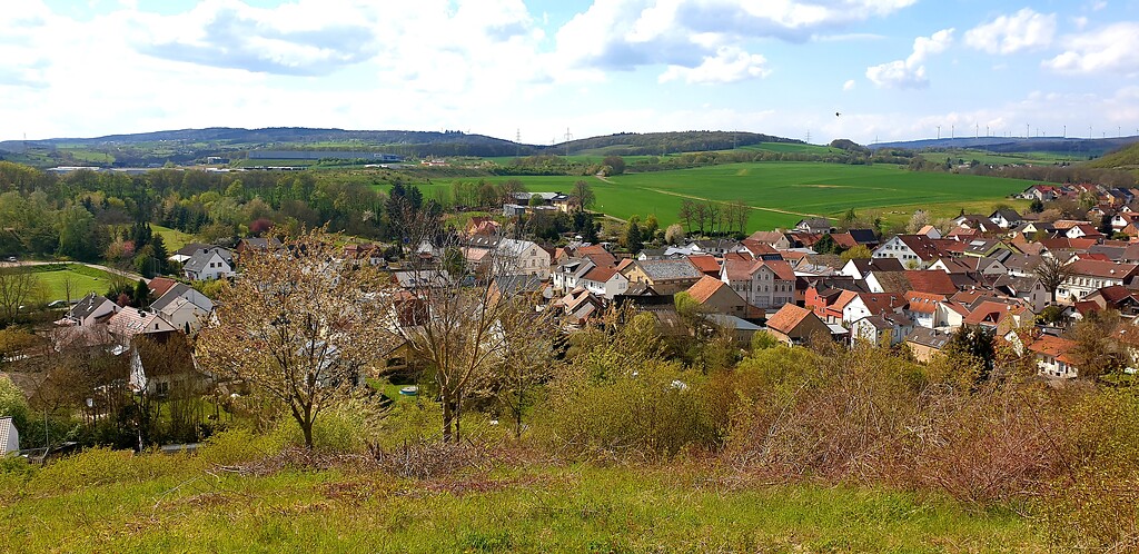 Blick auf die Ortsgemeinde Waldlaubersheim von der Anhöhe Domberg aus (2021)