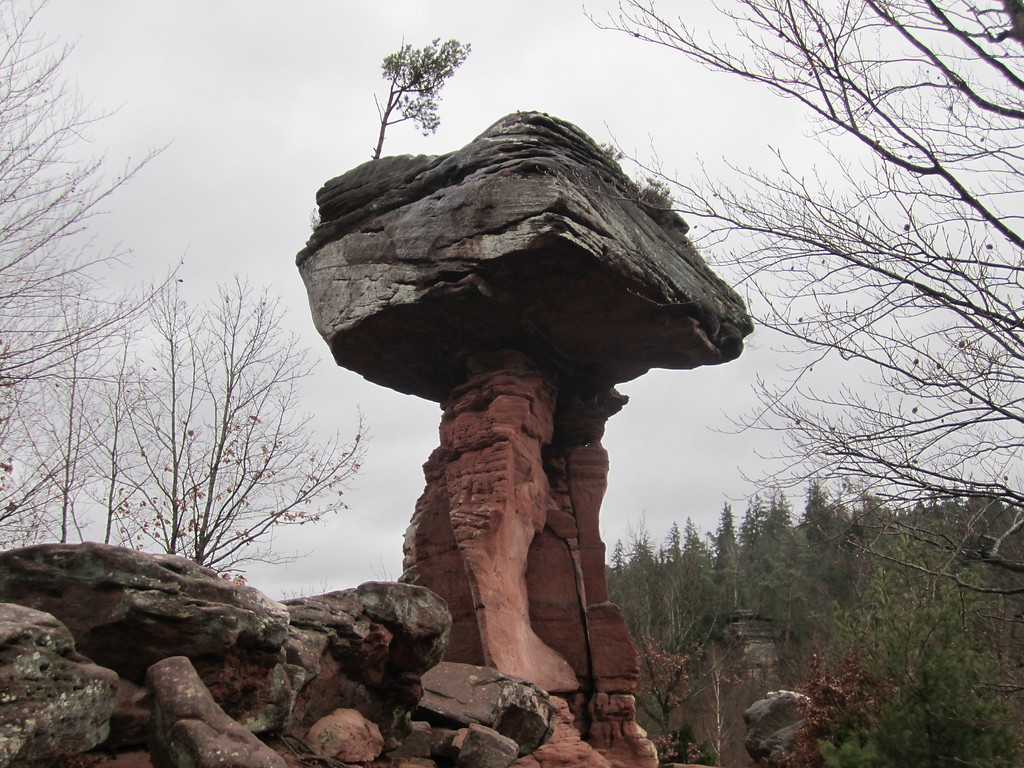 Die bekannteste Felsenlandformation im Wasgau, der sogenannte "Teufelstisch" bei Hinterweidenthal im Pfälzerwald (2013).