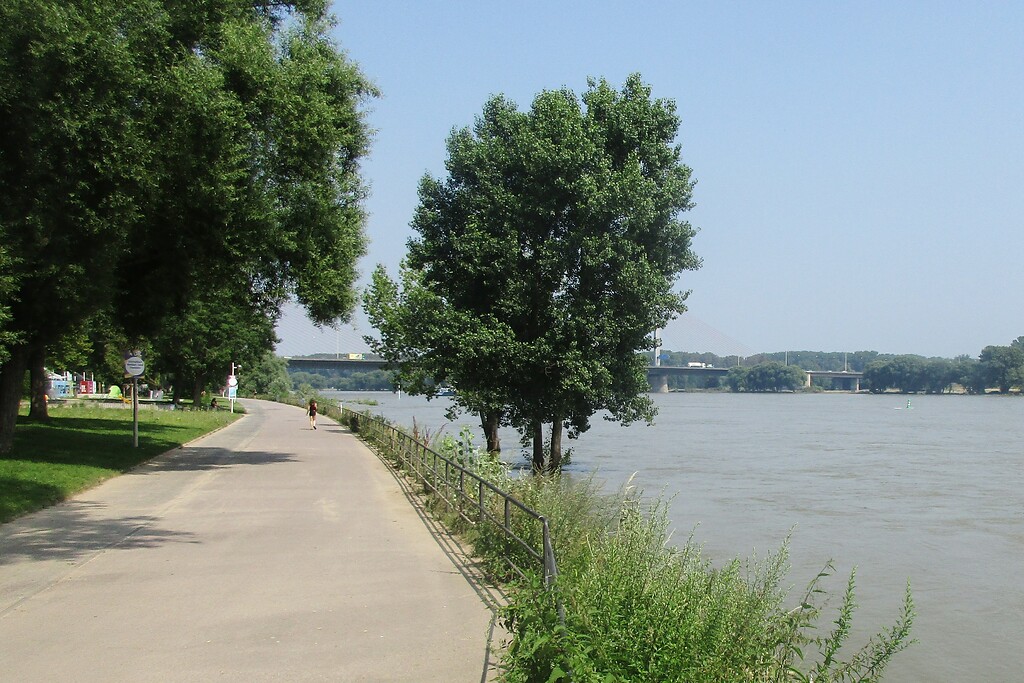 Blick vom Leinpfad am Bonner Rheinufer in Richtung der Friedrich-Ebert-Brücke bzw. Bonner Nordbrücke (2021).