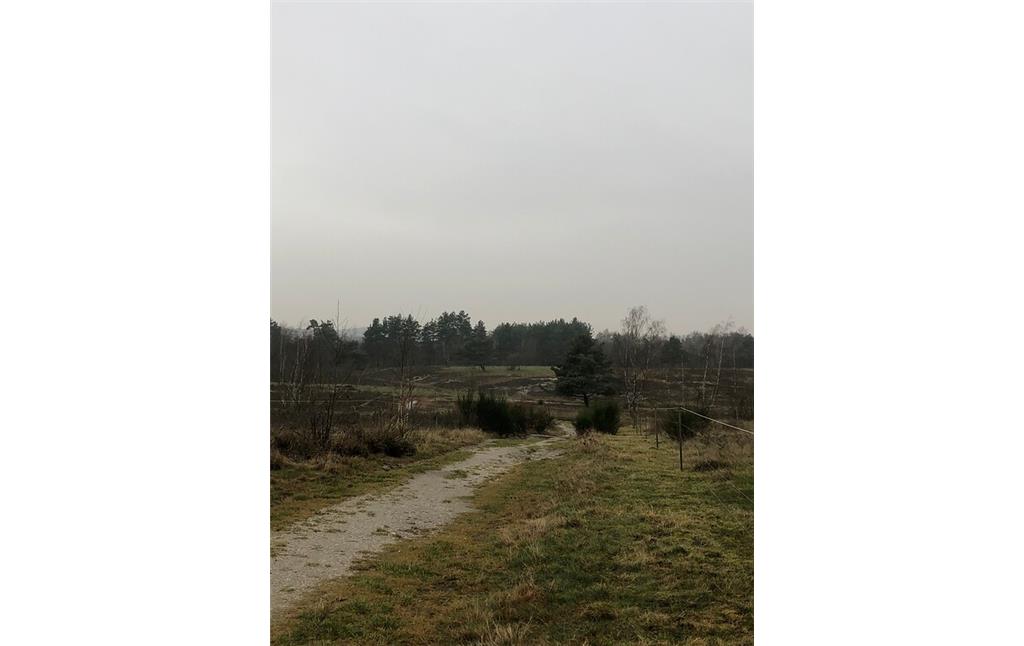 Naturschutzgebiet Wahner Heide (2021)
