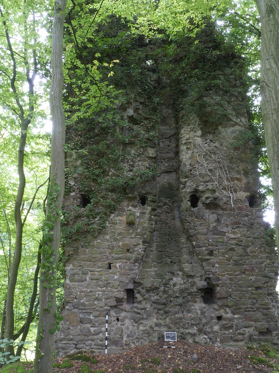Wasserburg Bernsau bei Overath, Blick auf aufgehendes Mauerwerk mit einem Kamin (2017)