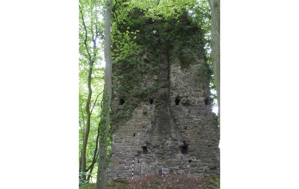 Wasserburg Bernsau bei Overath, Blick auf aufgehendes Mauerwerk mit einem Kamin (2017)