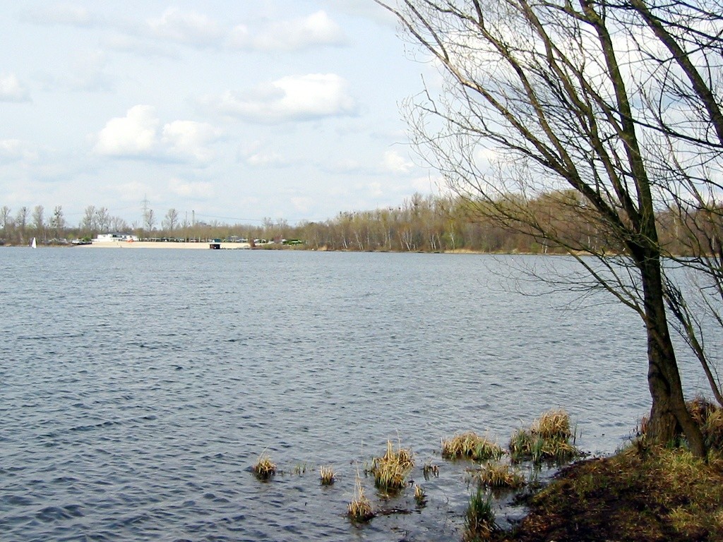 Liblarer See vom südlichen Ufer aus (2010)