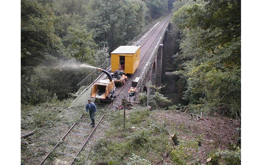 Freischnittarbeiten auf der Bahnstrecke der Brexbachtalbahn im Brexbachtal (Aufnahme um 2000).