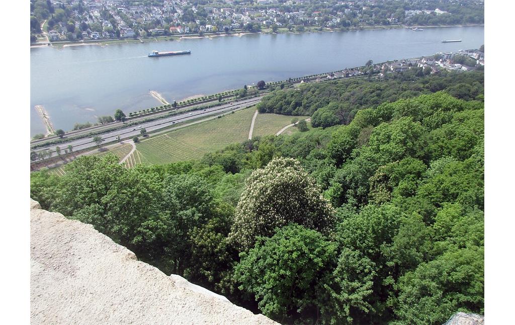 Blick in Richtung des Rheins auf einen Hang unmittelbar unter der Burgruine Drachenfels, der als "Rutsche" für den Abtransport der im dortigen Steinbruch gebrochenen Blöcke genutzt wurde (2020).