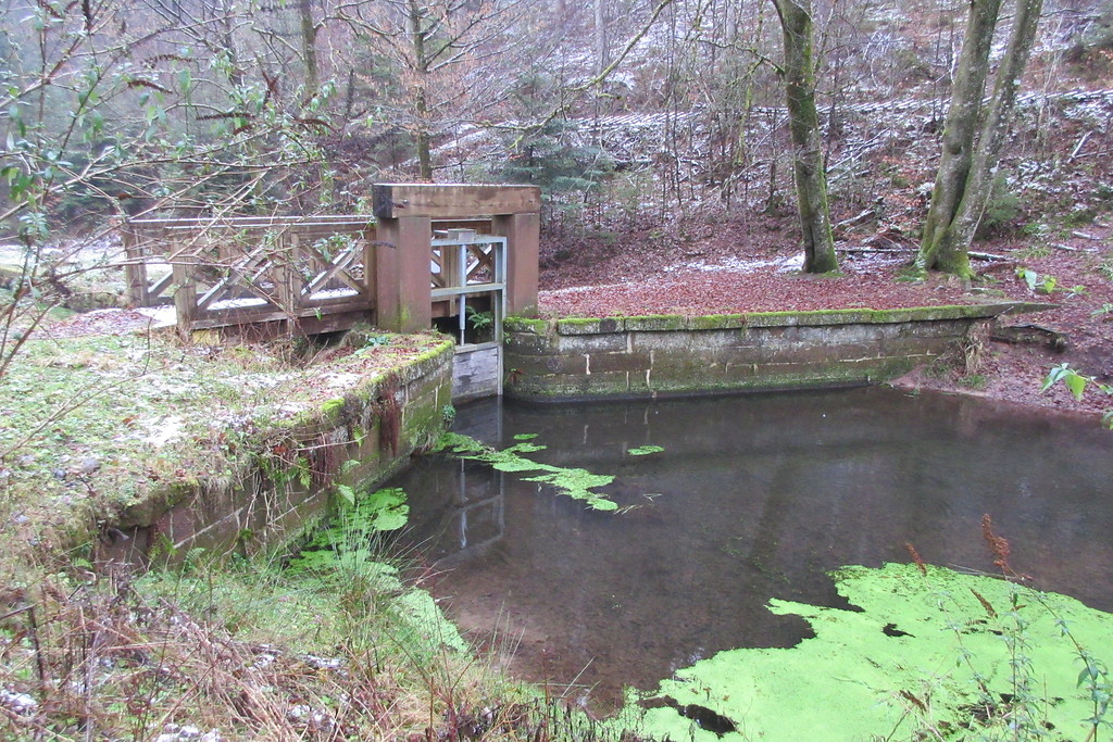 Dammbereich mit dem  Absperr- und Auslaufbauwerk