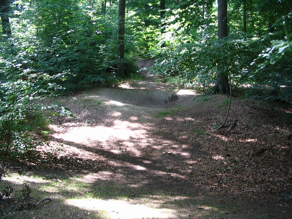 Spuren des Amphitheaters nördlich des Kastells Zugmantel bei Taunusstein-Orlen im Rheingau-Taunus-Kreis (2008)