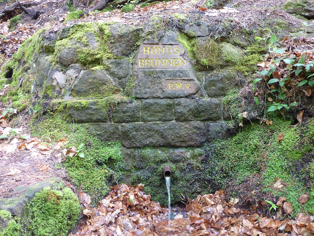 Ritterstein Nr. 166 Hundsbrunnen im Hundsbrunnertal (2014)