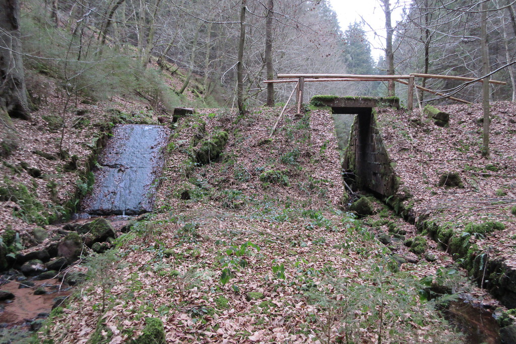 Dammbereich des Goldwooges mit Sohlrampe am Breitenbach (2018)