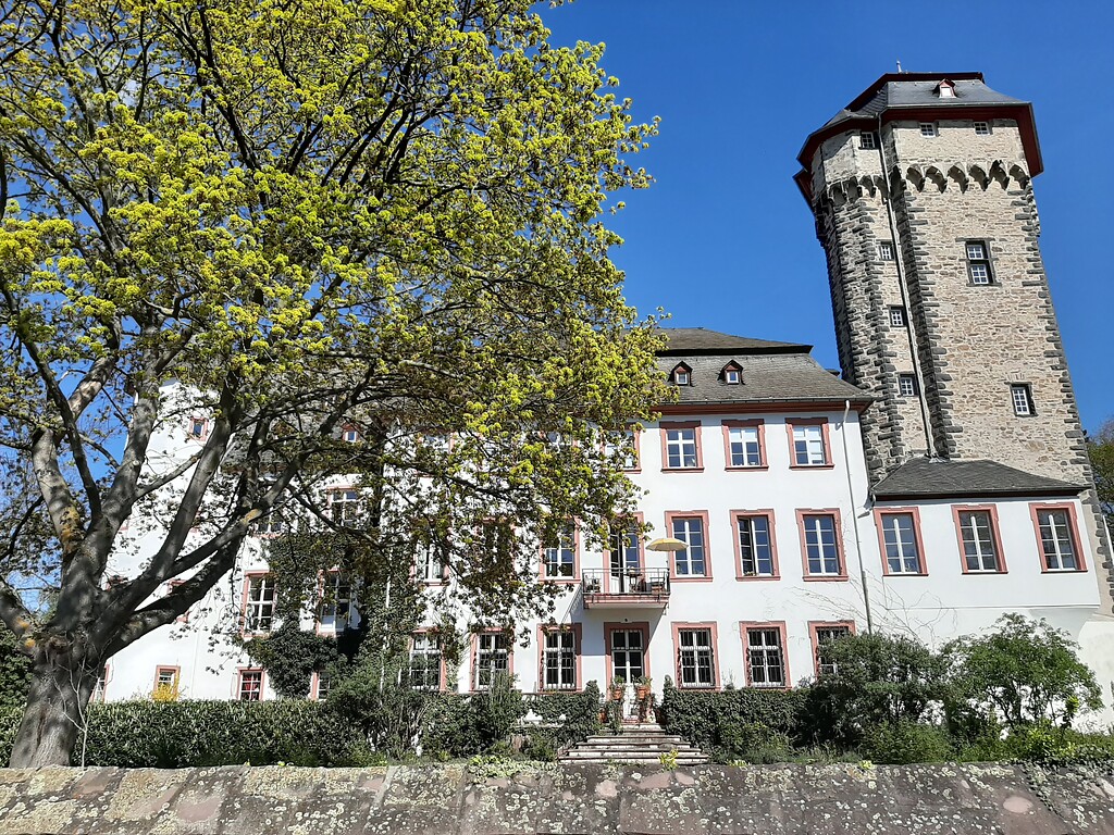 Rheinansicht des Martinsschlosses vom Leinpfad aus
