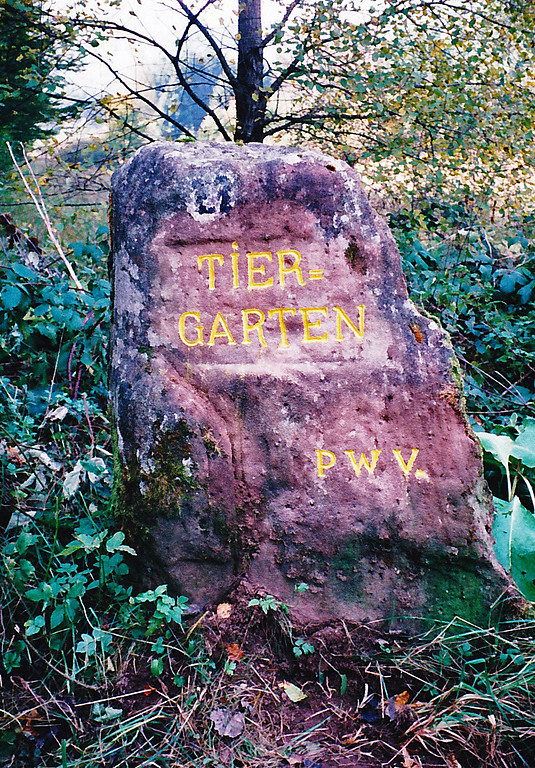 Ritterstein Nr. 46 "Tiergarten" bei Wilgartswiesen (1999)