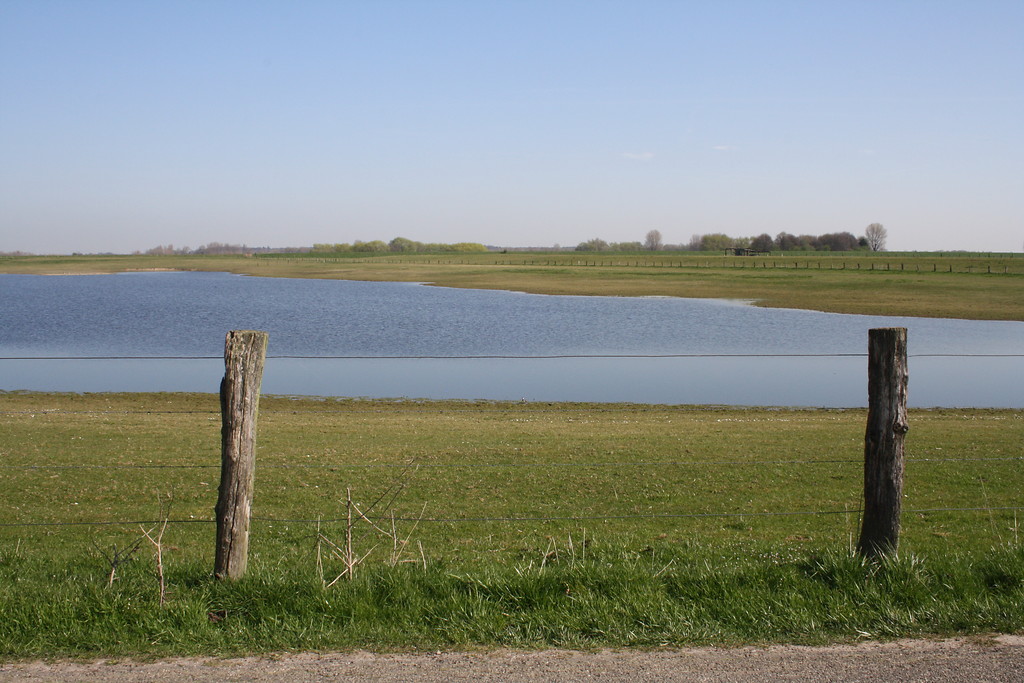 Nördlicher Gewässerteil der Flutmulde an der Bislicher Insel, Eylländer Weg (2017).