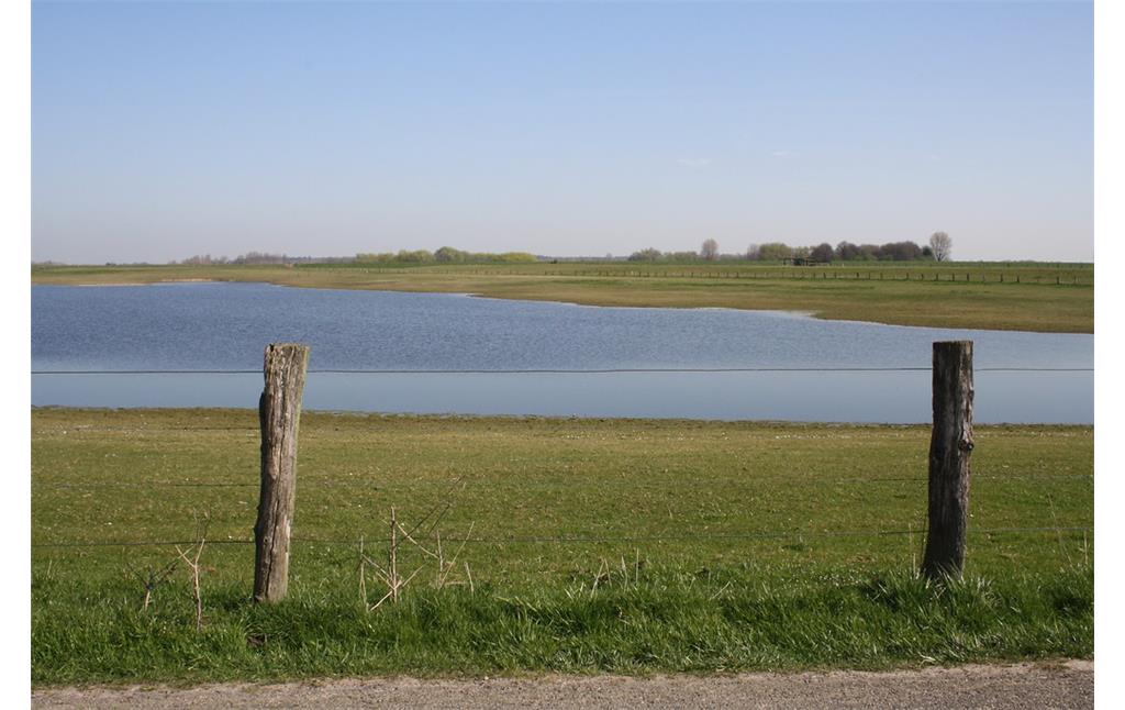 Nördlicher Gewässerteil der Flutmulde an der Bislicher Insel, Eylländer Weg (2017).