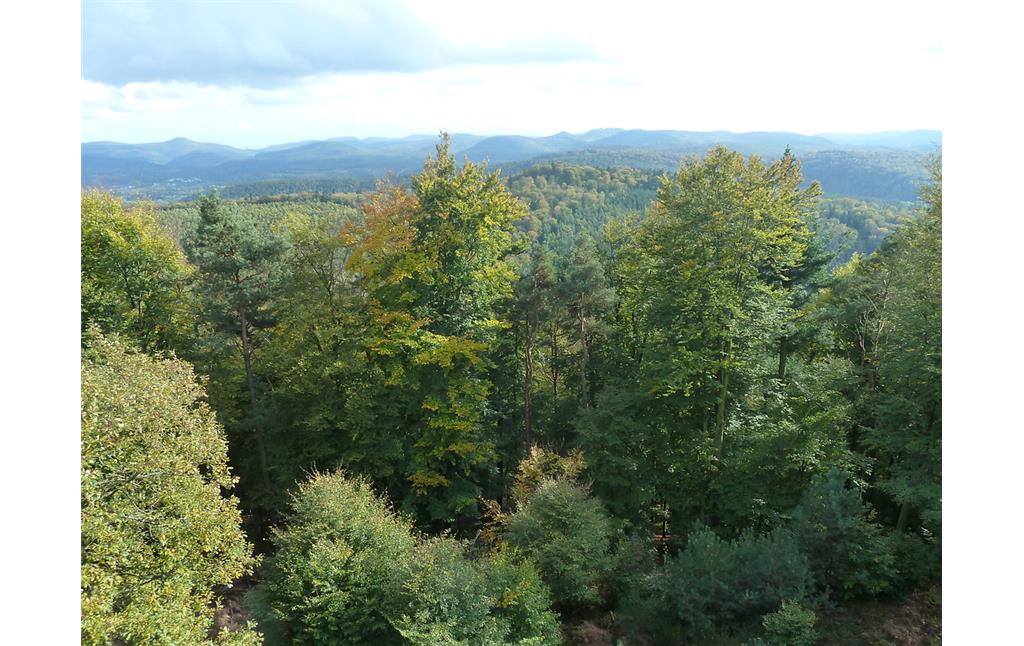 Blick vom Eybergturm auf dem Großen Eyberg bei Dahn über den Pfälzerwald (2017).