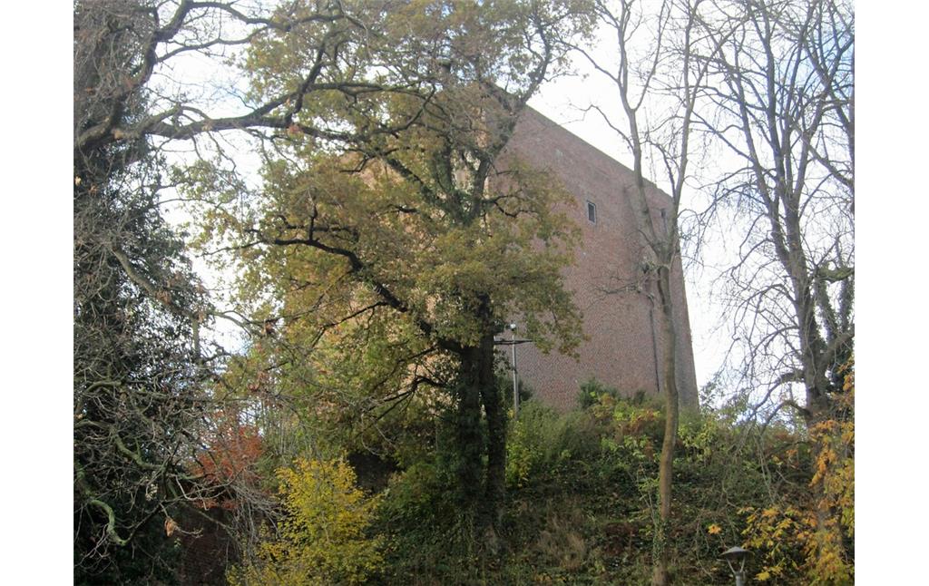 Burg Wassenberg (2012)