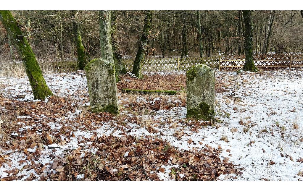 Grabsteine auf dem jüdischen Friedhof Auf dem Gerstenberg bei Schöneberg (2017)