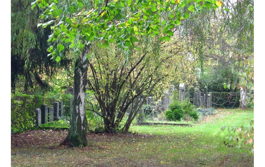 Blick auf das Gräberfeld des Judenfriedhofs Poppelsdorf in der Endenicher Hainstraße (2013)