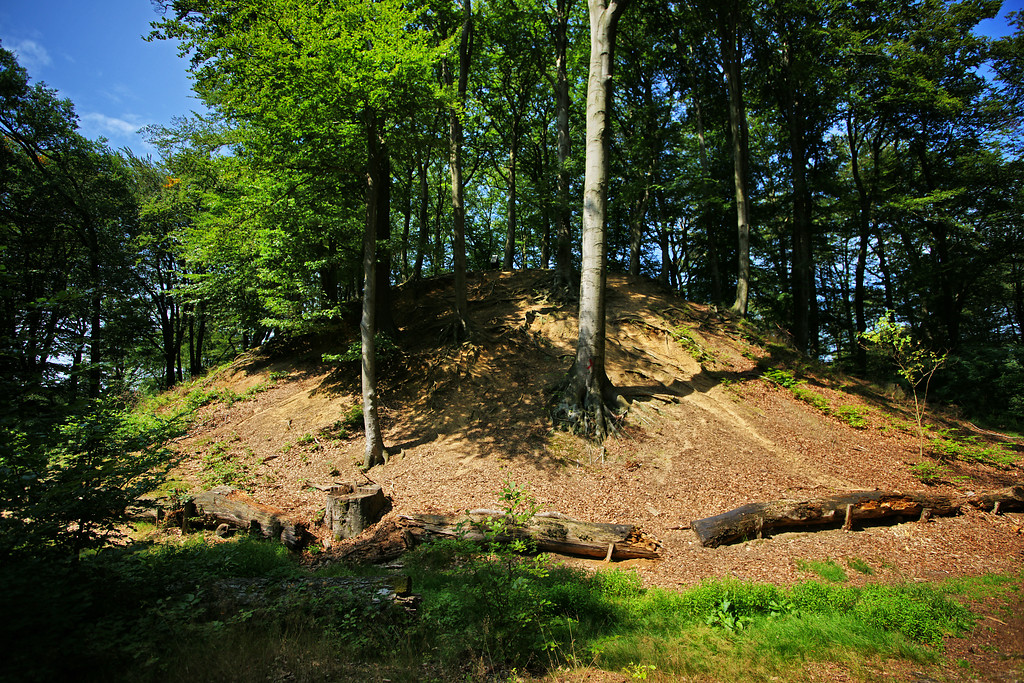 Hügel der Motte Alde Berg zwischen Dalheim-Rödgen und Arsbeck (2011).