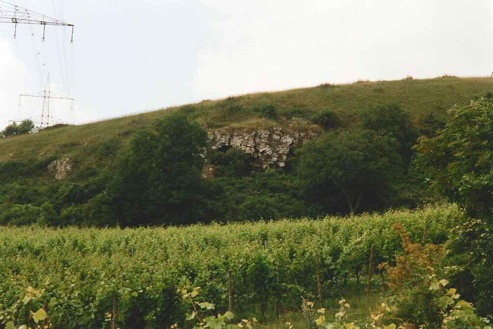 Ritterstein Nr. 293 "Hohfels Urgeschichtliche Wohnhoehle 300 m" nordwestlich von Grünstadt (1995)