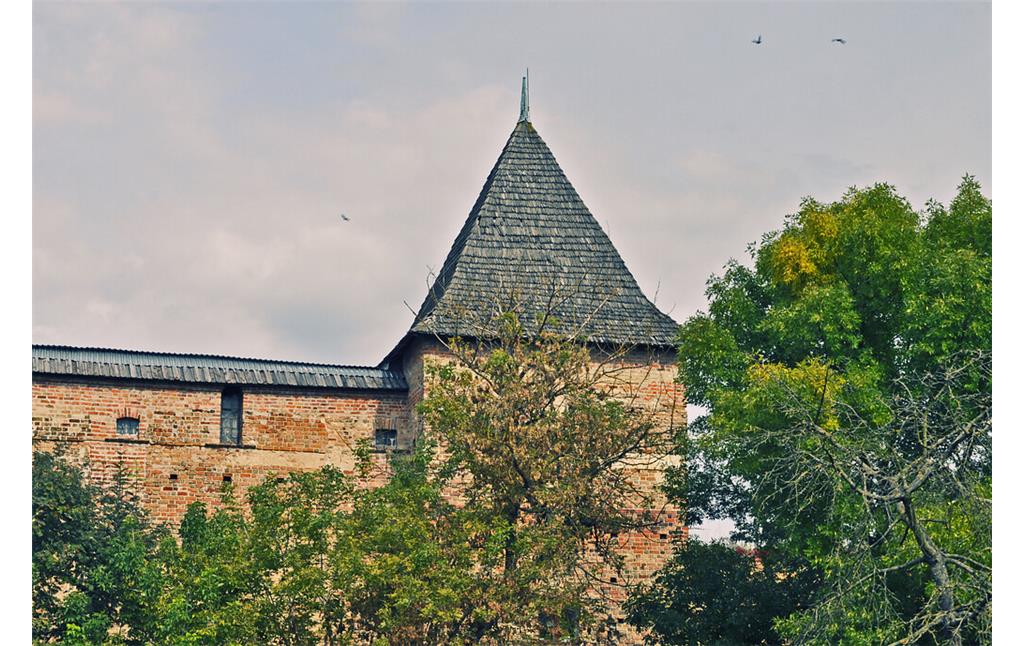 Remains of Okolnyi Castle - Chartoryiski's Tower (2014)