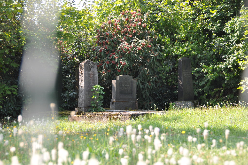 Grabsteine auf dem Jüdischen Friedhof in Villmar (2019)