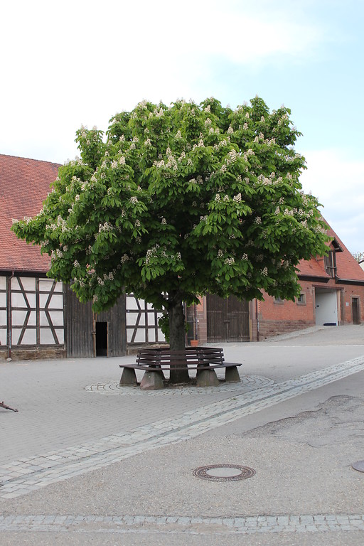 Der Ortsmittelpunkt des Elfinger Hofes bei Maulbronn (2012)