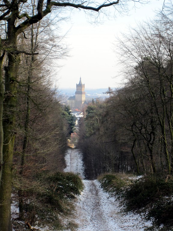 Blick vom Tiergarten in Richtung Schwanenburg Kleve (2012).