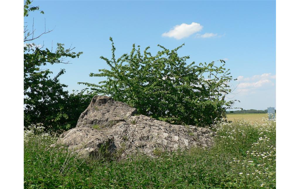 Die Decke des gesprengten Bunkers in Zülpich-Langendorf (2013).