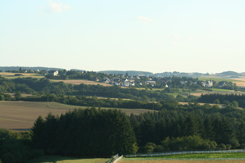 Panoramaansicht von Liesenich (2007)