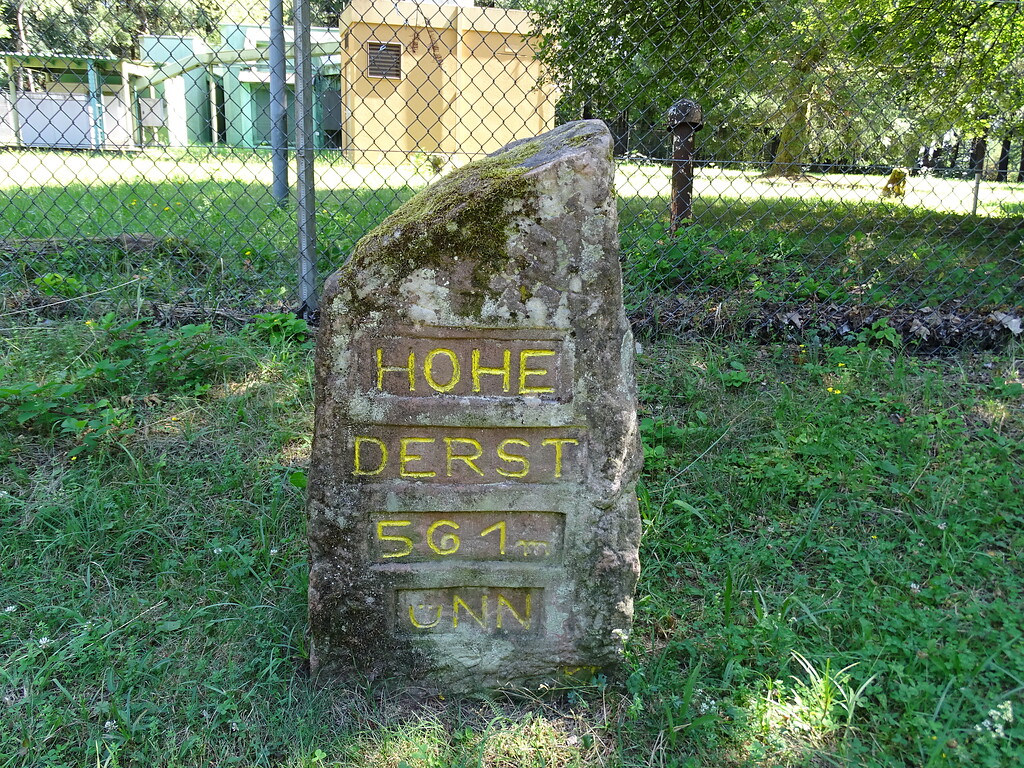 Ritterstein Nr. 301 Hohe Derst 561m üNN südwestlich von Böllenborn (2020)