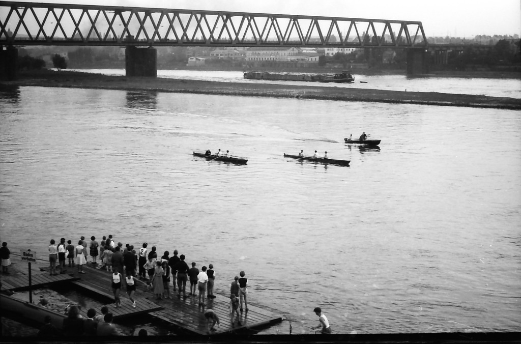 Die alte, zwischen 1935 und 1978 bestehende Neuwieder Rheinbrücke am heutigen Standort der Raiffeisenbrücke Neuwied (1959).