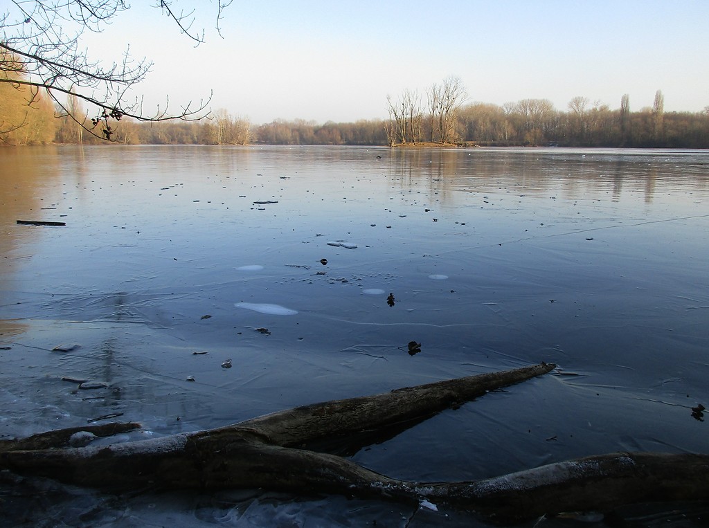 Der zugefrorene Sieglarer See im Naturschutzgebiet "Siegaue und Siegmündung", im Hintergrund die beiden Seeinseln (2017).